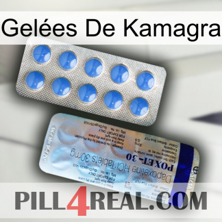 Gelées De Kamagra 39